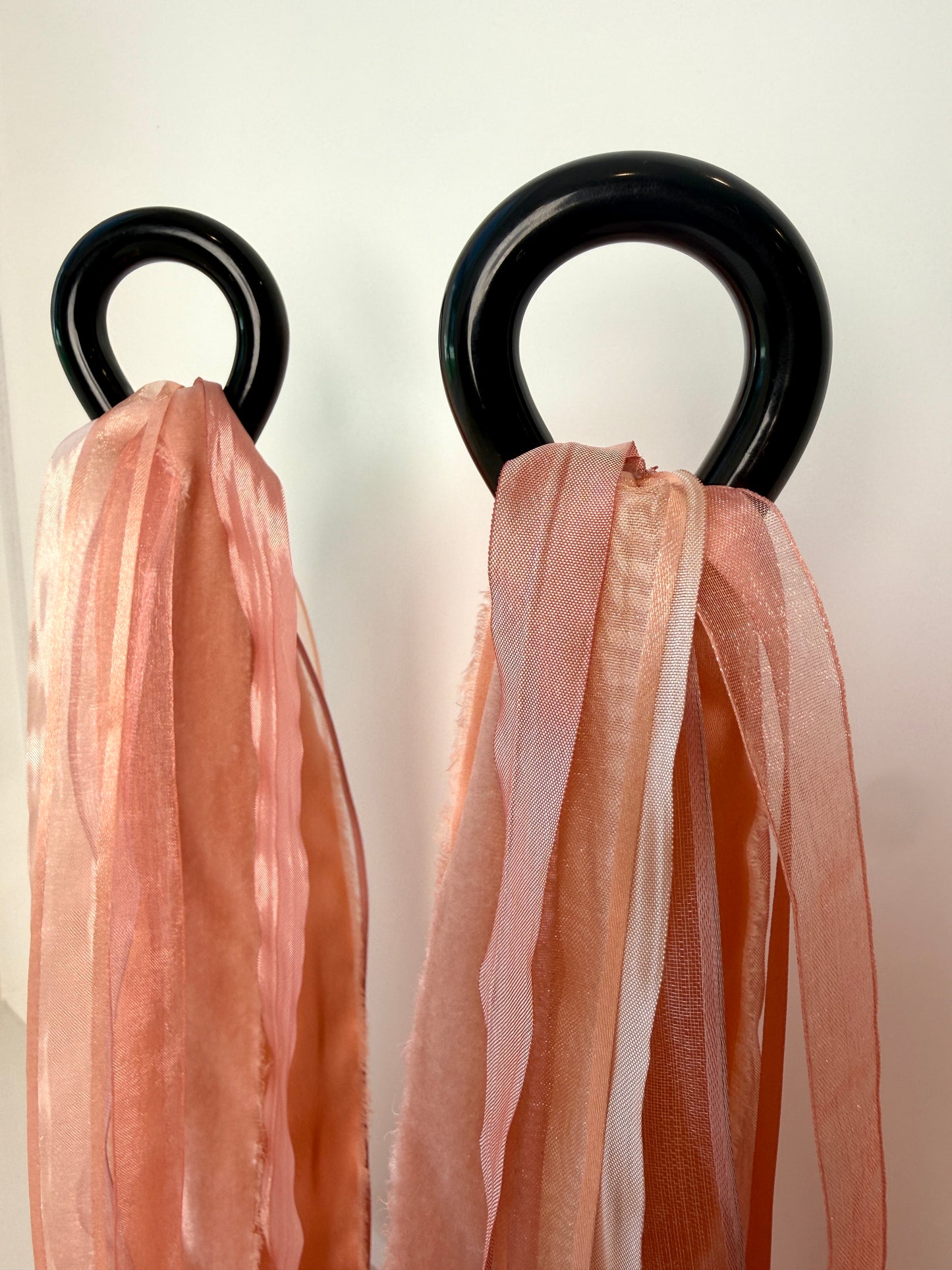 RIBBON SETS (includes 2 sets!)